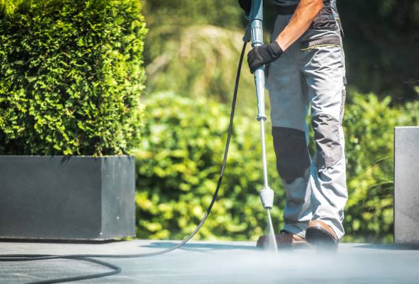Best Sidewalk and Walkway Cleaning  in Mastic, NY