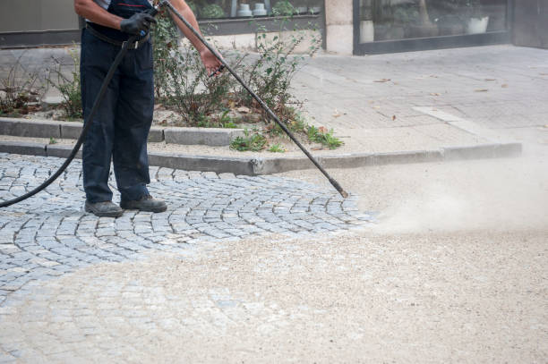Best Dumpster Area Cleaning  in Mastic, NY