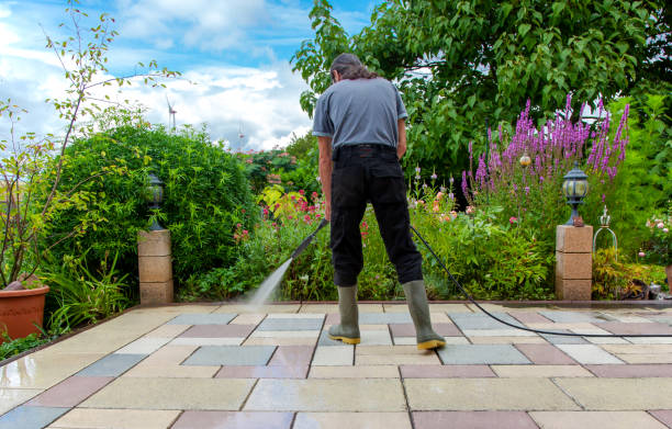 Best Winterizing Services  in Mastic, NY
